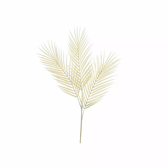 Dry Look Bleached Fern Leaf