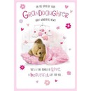 Regal 6 Pack Cards C75 Everyday New Born