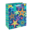 Eurowrap 6 Pack Gift Bag Neon Stars Large