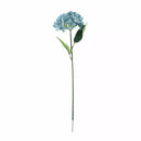Hydrangea Blue