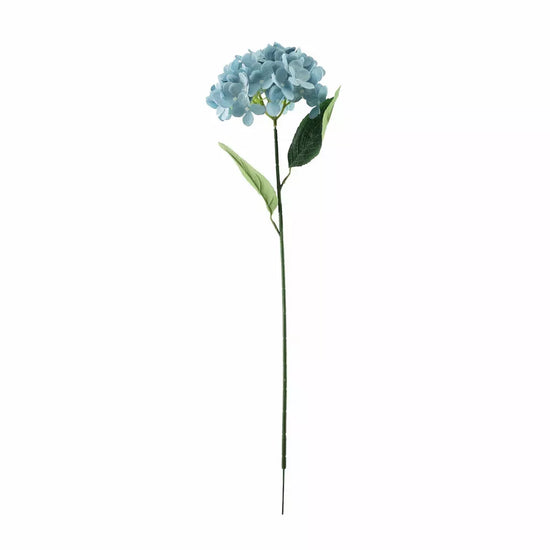 Hydrangea Blue