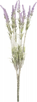 Eleganza Lavender Bush (12 Branches)