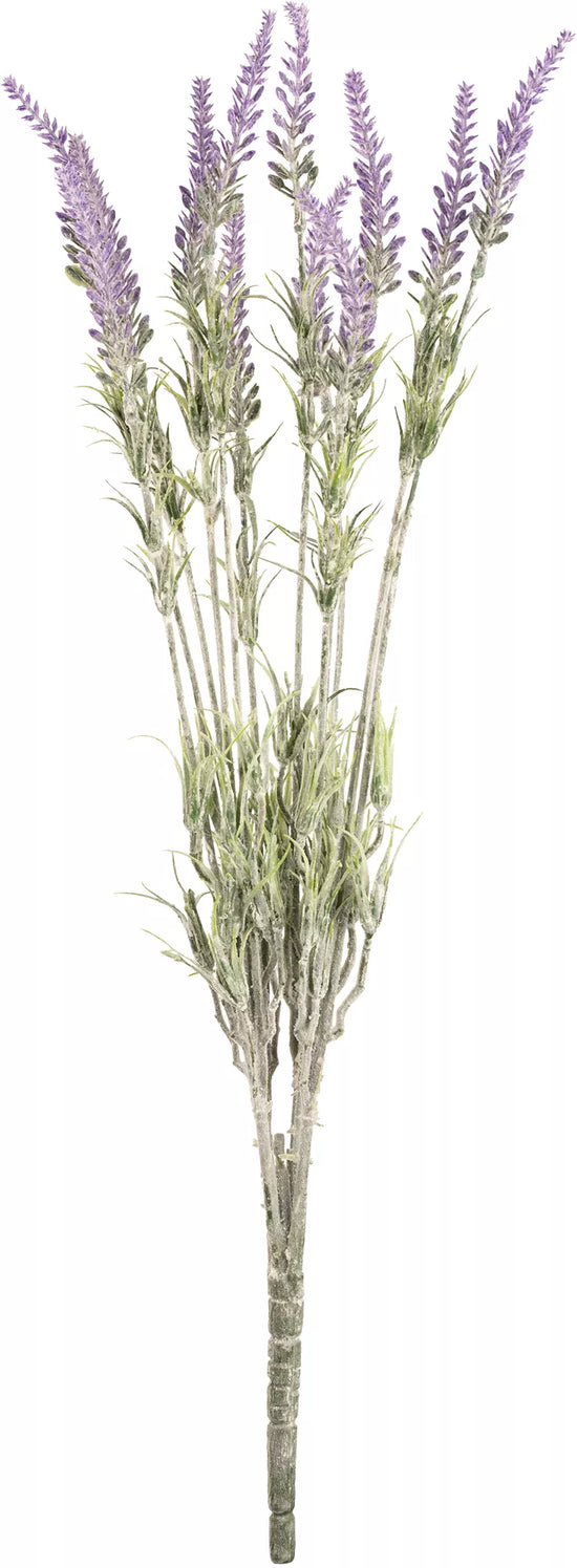 Eleganza Lavender Bush (12 Branches)