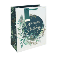 Eurowrap 12 Pack Gift Bag Seasons Greetings Large