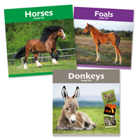 Calendar Square Donkeys, Horses & Foals 2027 12pk