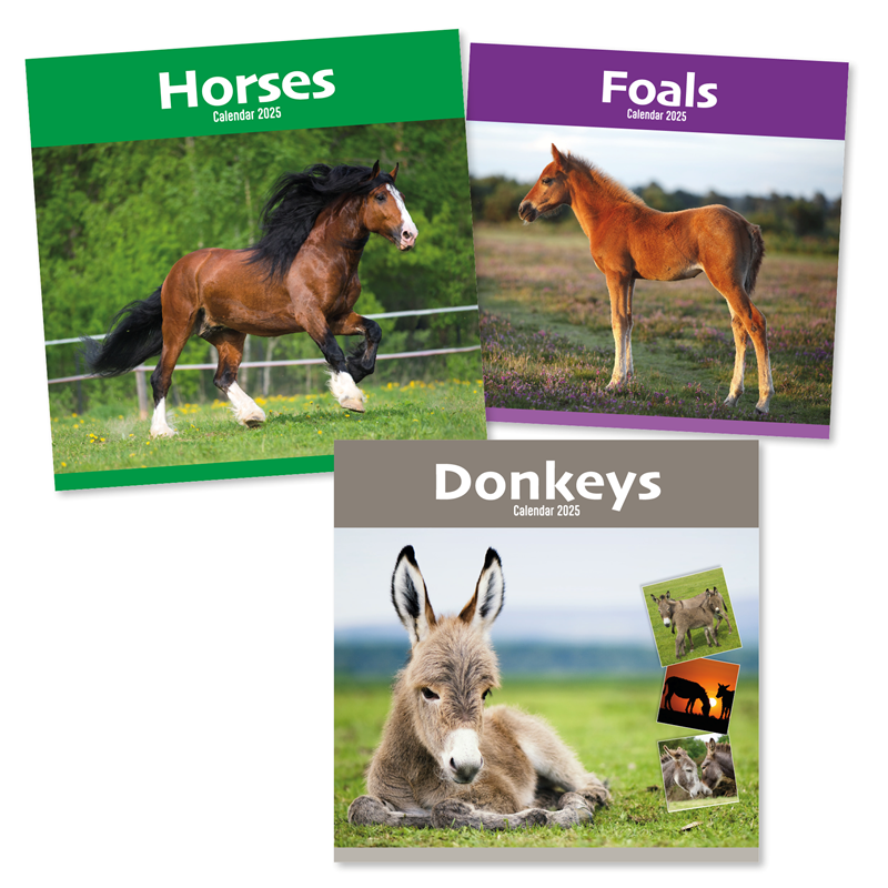 Calendar Square Donkeys, Horses & Foals 2027 12pk