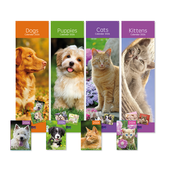 Calendar & Diary Cats & Dogs 2027 12pk