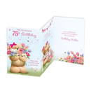 Prelude C75 Birthday Age 75 6pk