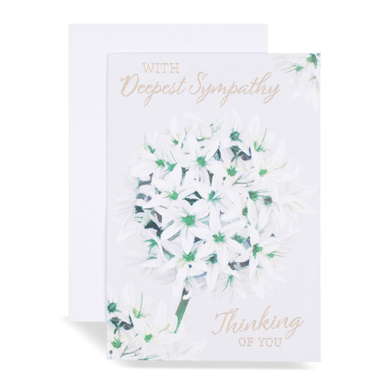 Kingsley C50 Sympathy 6pk