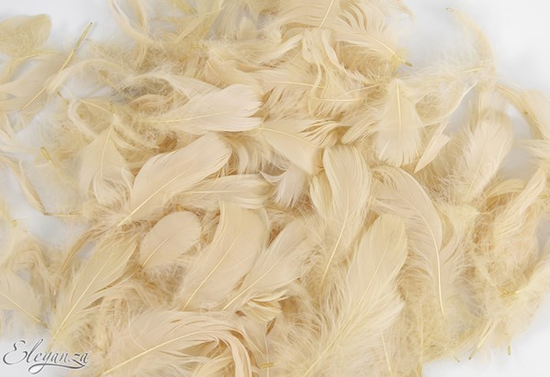Eleganza Pampas Mixed Feathers 50g