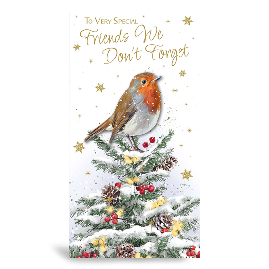 Prelude 6 Pack Cards C55 Christmas Friend Robin