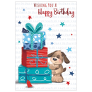 Kingsley 6 Pack Cards C50 Birthday Open