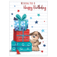 Kingsley 6 Pack Cards C50 Birthday Open
