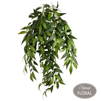 Ruscus Brush - 7 Branches