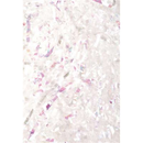Shredded Tissue Paper Metallic Opal 28g 6pk