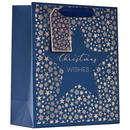 Partisan 6 Pack Gift Bag Christmas Star Medium