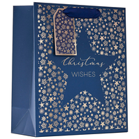 Partisan 6 Pack Gift Bag Christmas Star Medium