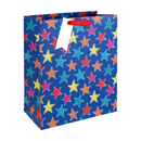 Eurowrap 3 Pack Gift Bag Generic Foiled Assorted