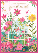 Isabel's Garden C50 Birthday Special Friend 6pk