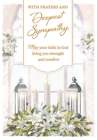 Kingsley C50 Sympathy 6pk
