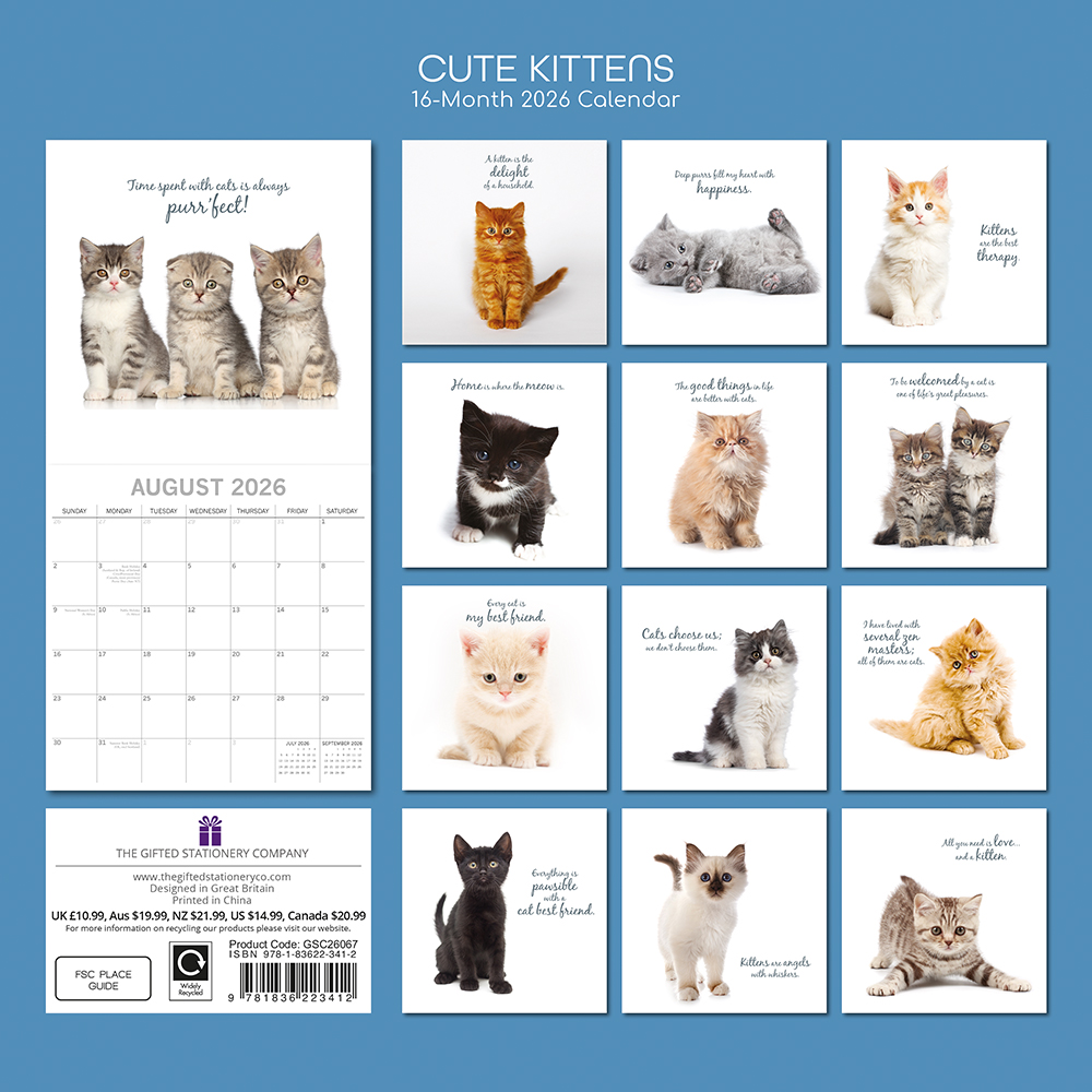 Gifted Stationery Calendar Cats & Kittens 2027