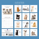 Gifted Stationery Calendar Cats & Kittens 2027