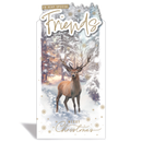 Prelude C55 Christmas Friend 6pk