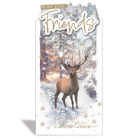 Prelude C55 Christmas Friend 6pk