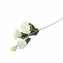 Lisianthus White