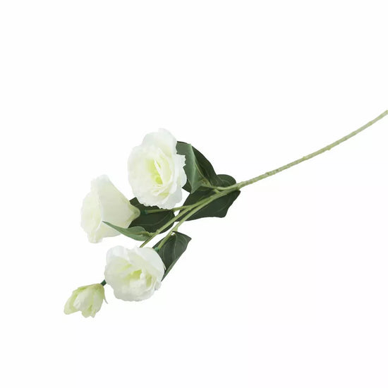 Lisianthus White