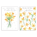 Poppyhill C50 Easter All Of You 12pk