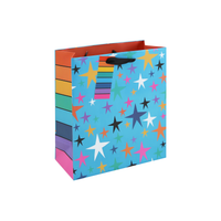 Eurowrap 3 Pack Gift Bag Generic Assorted