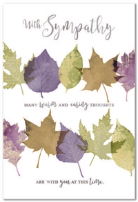 Simon Elvin C50 Sympathy Assortment 12x6pk