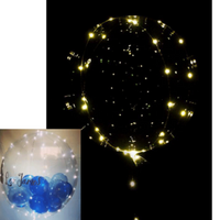 Warm White LED 5M Balloon Lights
