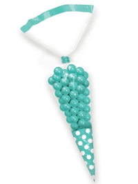 Amscan 10 Pack Cone Favour Bag Robin Egg Blue