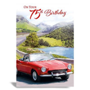Kingsley C50 Birthday Age 75 6pk