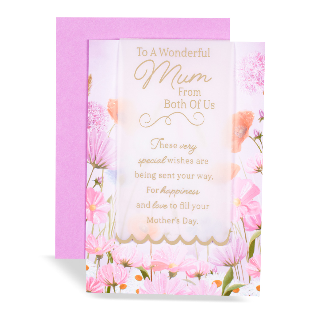 Prelude C50 Mother's Day Mum Both 6pk