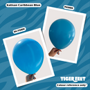 Kalisan Standard Caribbean Blue 24" Latex 2pk