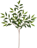 Eleganza Ruscus Spray