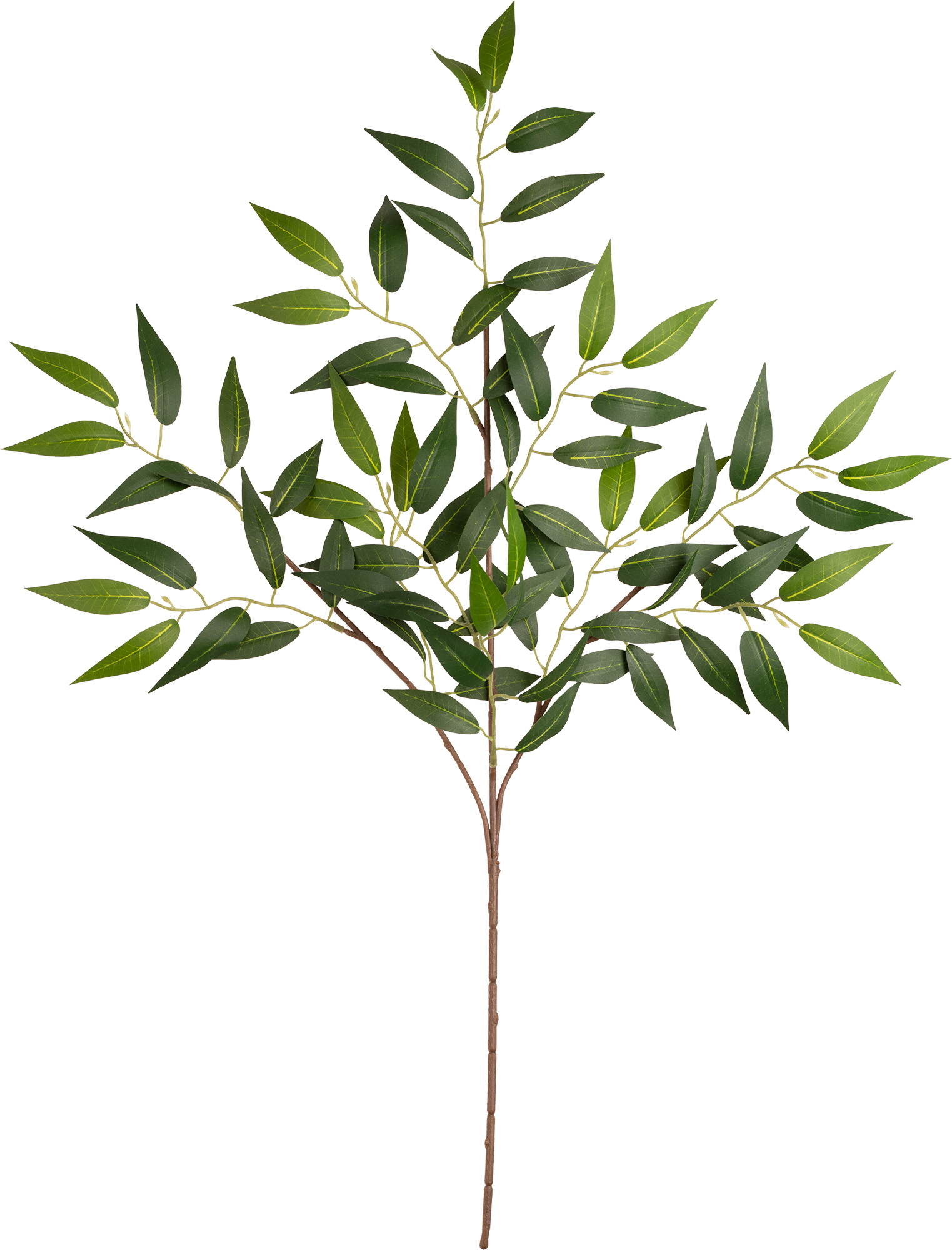 Eleganza Ruscus Spray