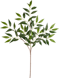 Eleganza Ruscus Spray