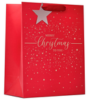 Partisan 6 Pack Gift Bag Merry Xmas Large