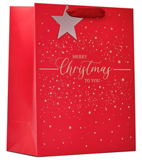 Partisan 6 Pack Gift Bag Merry Xmas Large