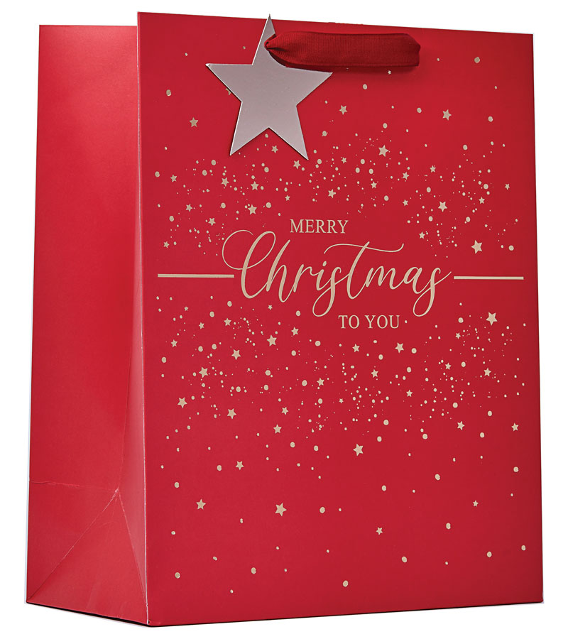 Partisan 6 Pack Gift Bag Merry Xmas Large