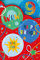Simon Elvin C50 Birthday Age 9 6pk