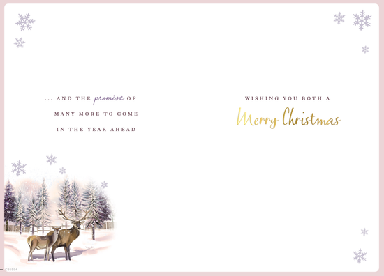 Regal 6 Pack C75 Cards Christmas Both Of You