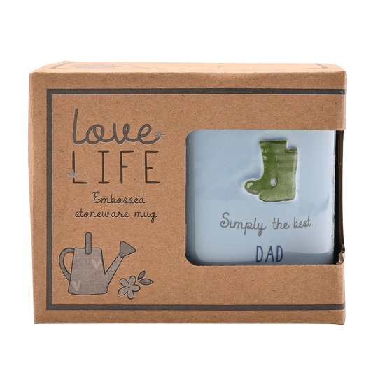 Widdop Love Life Mug Dad 290ml