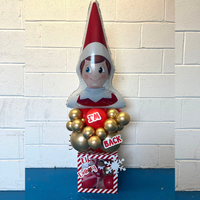 Balloon Box Elf Delivery 30x30cm (Inc 3 Stickers)