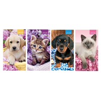 Diary Slim 2WTV Kitten & Puppy 2027 24pk