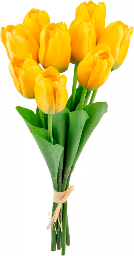Eleganza Tulip Bunch Pale Yellow (9 Heads)